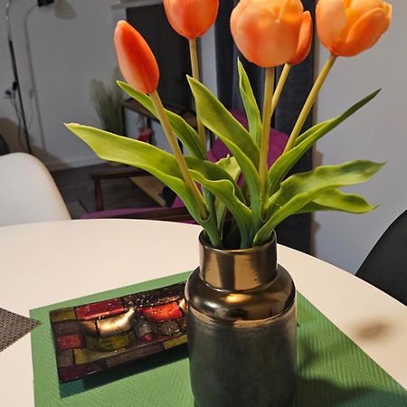 Studio Apartman Gradna 萨莫博尔 外观 照片