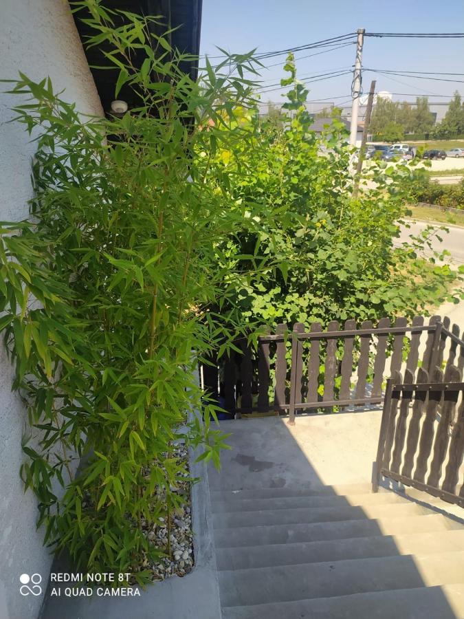 Studio Apartman Gradna 萨莫博尔 外观 照片